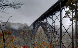 Bridge hill trees foreground fog - photograph free wallpaper for desktop