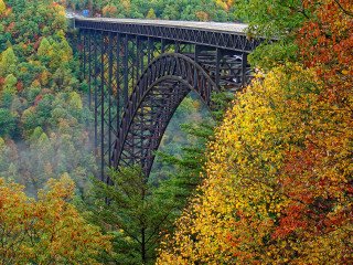 Train bridge forest autumn leaves - autumn time free wallpaper