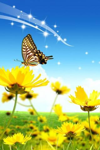 Butterfly yellow flowers blue sky - nature free wallpaper for mobile