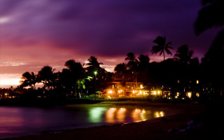 Beach palm tree purple sky - the water and a building in the background free wallpaper