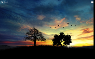 Sunset birds tree hill flying - a tree in the foreground free wallpaper for desktop