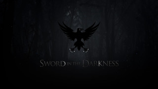Dark background bird sword in - the middle of the image free wallpaper for desktop