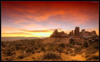 Sunset desert rocks bushes red - a red sky in the background free wallpaper