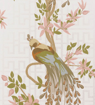 Bird long tail tree branch - pink flower and leaves free wallpaper