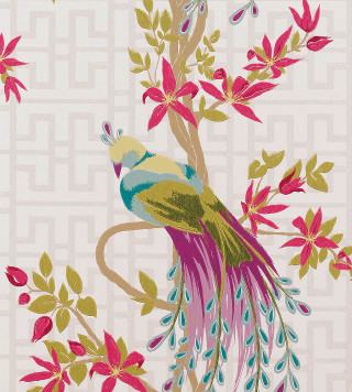 Bird long tail branch flowers - exquisite detail free wallpaper