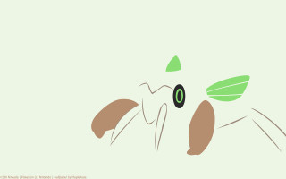 Green insect green eye green - a green eye free wallpaper