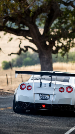 White sports car parked tree - free motorcycles wallpaper