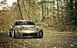Car driving woods leaves trees - the ground and trees free wallpaper