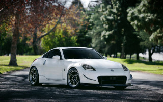 White sports car street trees - grass and trees free wallpaper