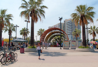 Woman walking park palm trees - a park free wallpaper for desktop
