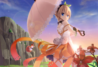 Woman dress umbrella field flowers - a woman in a dress holding free wallpaper for desktop