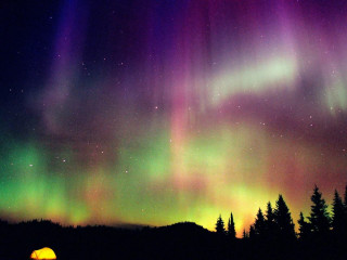 Bright green purple aurora borealis - aurora free wallpaper for desktop