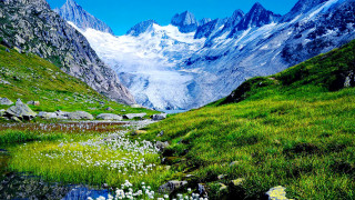 Mountain stream grassy field flowers - the foreground and a mountain range in the background free wallpaper for desktop