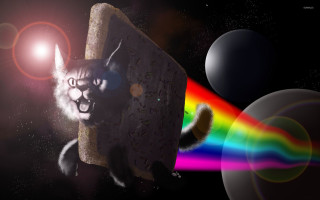 Cat rock rainbow light background - a rock free wallpaper for desktop