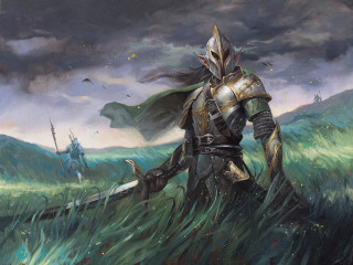 Knight field sword bird flying - the gathering artwork free wallpaper