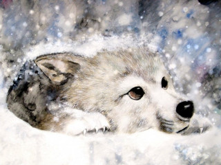 Wolf laying snow snowflake cat - a watercolor painting free wallpaper