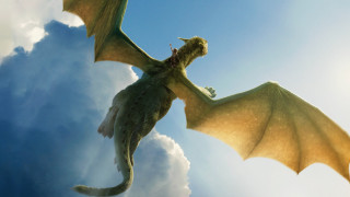 Dragon flying wings spread air - its wing free wallpaper