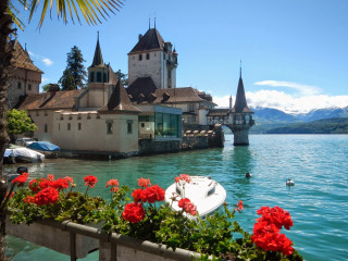 Boat bridge tower red flowers - red flower free wallpaper