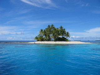 Small island palm trees ocean 3 - the middle of the ocean free wallpaper