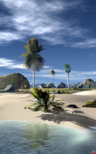 Tropical beach palm trees water - rocky free wallpaper for mobile