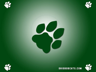 Green background paw print white - new free wallpaper for desktop