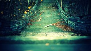 Wooden walkway leaves fence background - a bunch of leaves free wallpaper
