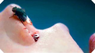 Insect finger blood blue transgressive - damien hirst free wallpaper