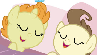 Little ponies laying together butterfly - little pony free wallpaper