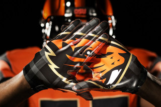Close up football uniform tiger - a glove free wallpaper