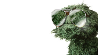 Green furry animal sunglasses white - ultra high definition free wallpaper