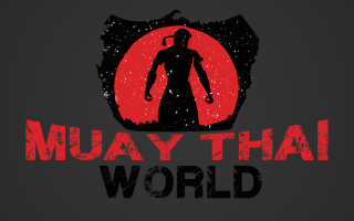 Muay thai world logo silhouette - a silhouette of a man free wallpaper