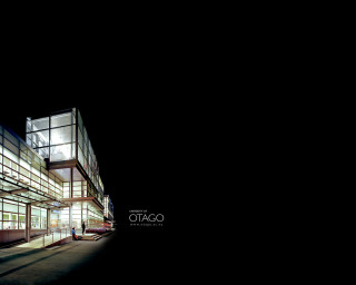 Building windows lit night person - window free wallpaper