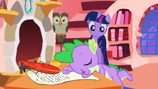 Pony desk owl sitting standing - a pony free wallpaper
