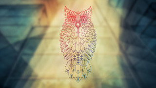Owl pattern face wings back - its back free wallpaper for desktop