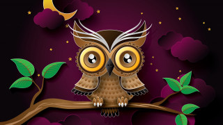 Cartoon owl branch half moon - surreal design free wallpaper for desktop