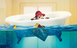 Dog hat bathtub rubber ducky - ducky free wallpaper