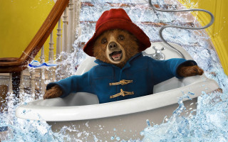 Bear bathtub red hat mouth - a red hat free wallpaper