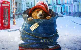 Dog in bag with hat - in the snow free wallpaper