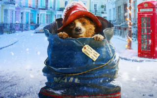 Dog in bag with hat 2 - poster art free wallpaper for desktop