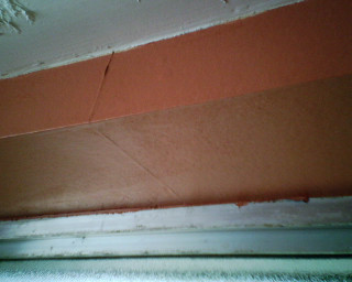 Cat sitting window sill peeling - open ceiling free wallpaper