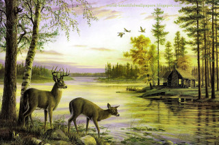 Deer lake cabin birds flying - nature free wallpaper