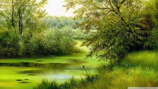 River green water trees bird - a painting of a river free wallpaper