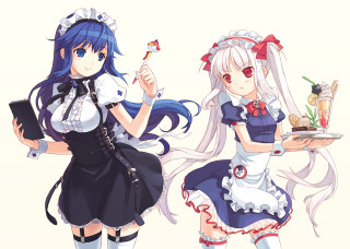 Anime girls blue hair maid - blue hair holding free wallpaper for desktop