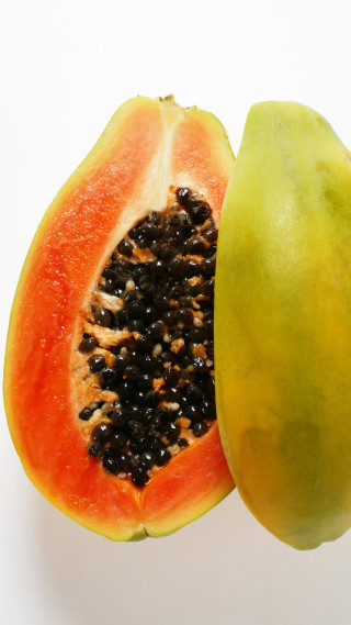 Papaya fruit white background gradient - boetius adamsz bolswert free wallpaper for mobile