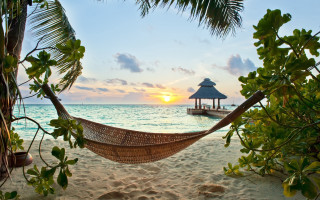 Hammock tree beach sunset gazebo - a hammock free wallpaper