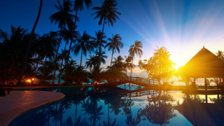 Pool gazebo palm trees sunset - sunrise free wallpaper