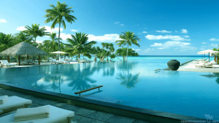 Large pool ocean view palm - the side free wallpaper