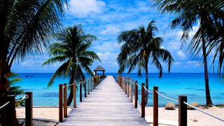 Wooden dock beach palm trees - a wooden dock free wallpaper