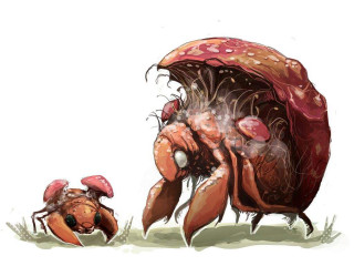 Drawing bug crawling grass mushroom - a mushroom free wallpaper