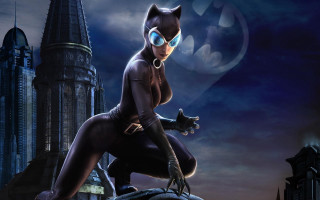 Woman cat suit castle pose 2 - a woman in a cat suit free wallpaper